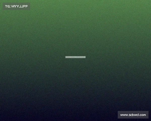 女排重要的赛事女排进行了几场比赛